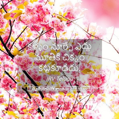 Picture 05 - ద్వితీయోపదేశ కాండము 25:4 TELIRV - కళ్ళం నూర్చే - Bible Verse Picture