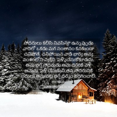 Picture 05 - ద్వితీయోపదేశ కాండము 25:5 TELIRV - సోదరులు కలిసి - Bible Verse Picture