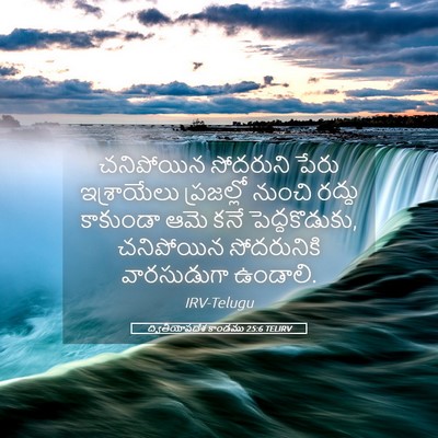 Picture 05 - ద్వితీయోపదేశ కాండము 25:6 TELIRV - చనిపోయిన సోదరుని - Bible Verse Picture
