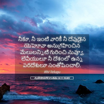 Picture 05 - ద్వితీయోపదేశ కాండము 26:11 TELIRV - నీకూ, నీ ఇంటి - Bible Verse Picture