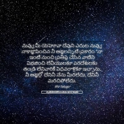 Picture 05 - ద్వితీయోపదేశ కాండము 26:13 TELIRV - నువ్వు మీ యెహోవా - Bible Verse Picture