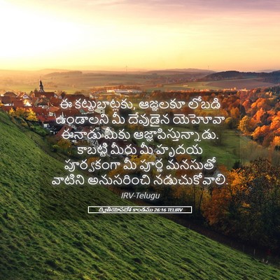 Picture 05 - ద్వితీయోపదేశ కాండము 26:16 TELIRV - ఈ కట్టుబాట్లకు, - Bible Verse Picture