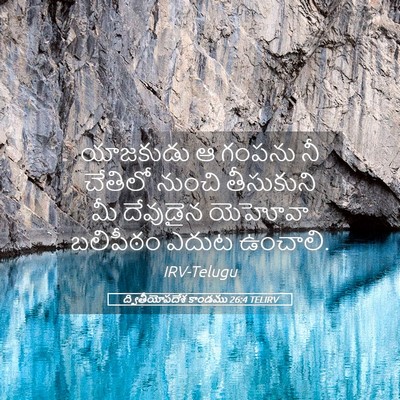 Picture 05 - ద్వితీయోపదేశ కాండము 26:4 TELIRV - యాజకుడు ఆ గంపను నీ - Bible Verse Picture