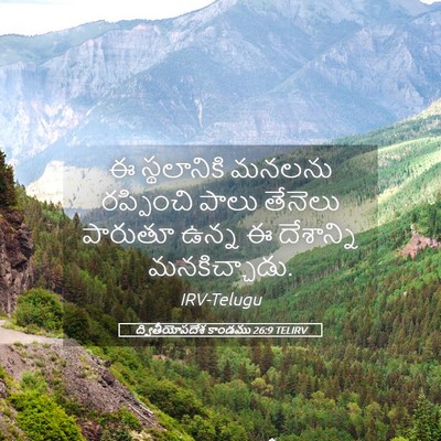 Picture 05 - ద్వితీయోపదేశ కాండము 26:9 TELIRV - ఈ స్థలానికి మనలను - Bible Verse Picture