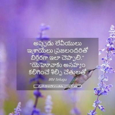 Picture 05 - ద్వితీయోపదేశ కాండము 27:14 TELIRV - అప్పుడు లేవీయులు - Bible Verse Picture