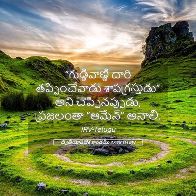 Picture 05 - ద్వితీయోపదేశ కాండము 27:18 TELIRV - “గుడ్డివాణ్ణి - Bible Verse Picture