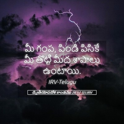 Picture 05 - ద్వితీయోపదేశ కాండము 28:17 TELIRV - మీ గంప, పిండి - Bible Verse Picture