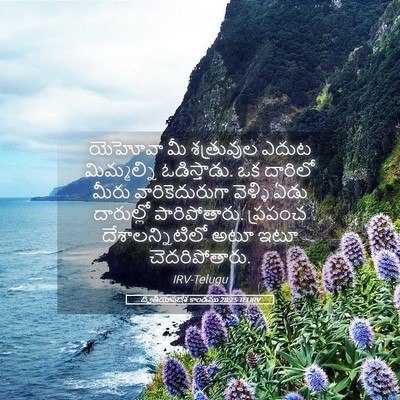 Picture 05 - ద్వితీయోపదేశ కాండము 28:25 TELIRV - యెహోవా మీ - Bible Verse Picture