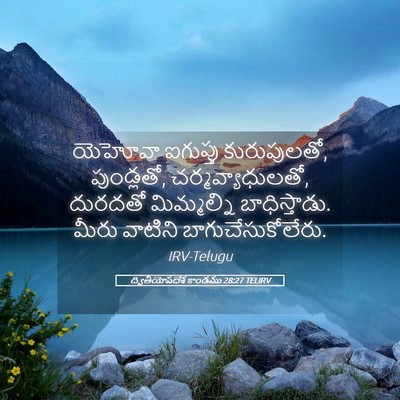 Picture 05 - ద్వితీయోపదేశ కాండము 28:27 TELIRV - యెహోవా ఐగుప్తు - Bible Verse Picture