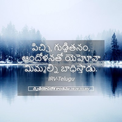 Picture 05 - ద్వితీయోపదేశ కాండము 28:28 TELIRV - పిచ్చి, గుడ్డితనం, - Bible Verse Picture