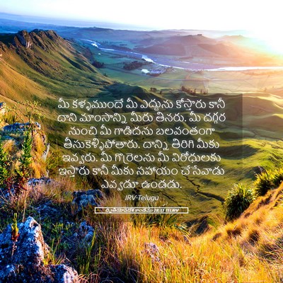 Picture 05 - ద్వితీయోపదేశ కాండము 28:31 TELIRV - మీ కళ్ళముందే మీ - Bible Verse Picture