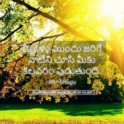 Picture 05 - ద్వితీయోపదేశ కాండము 28:34 TELIRV - మీ కళ్ళ ముందు - Bible Verse Picture