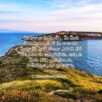 Picture 05 - ద్వితీయోపదేశ కాండము 28:36 TELIRV - యెహోవా మిమ్మల్నీ, - Bible Verse Picture