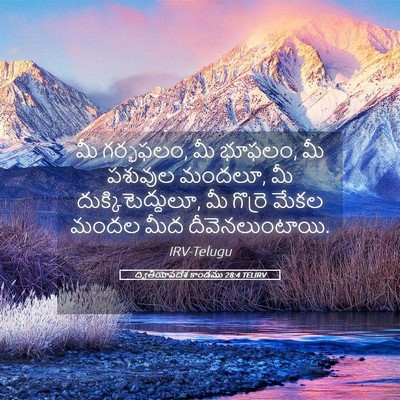 Picture 05 - ద్వితీయోపదేశ కాండము 28:4 TELIRV - మీ గర్భఫలం, మీ - Bible Verse Picture