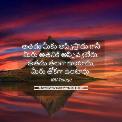 Picture 05 - ద్వితీయోపదేశ కాండము 28:44 TELIRV - అతడు మీకు - Bible Verse Picture