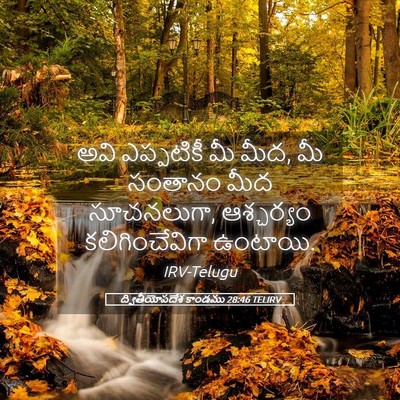 Picture 05 - ద్వితీయోపదేశ కాండము 28:46 TELIRV - అవి ఎప్పటికీ మీ - Bible Verse Picture