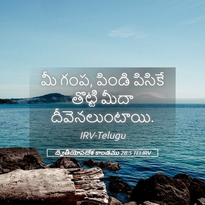 Picture 05 - ద్వితీయోపదేశ కాండము 28:5 TELIRV - మీ గంప, పిండి - Bible Verse Picture