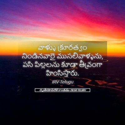 Picture 05 - ద్వితీయోపదేశ కాండము 28:50 TELIRV - వాళ్ళు క్రూరత్వం - Bible Verse Picture