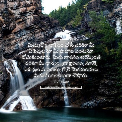 Picture 05 - ద్వితీయోపదేశ కాండము 28:51 TELIRV - మిమ్మల్ని నాశనం - Bible Verse Picture