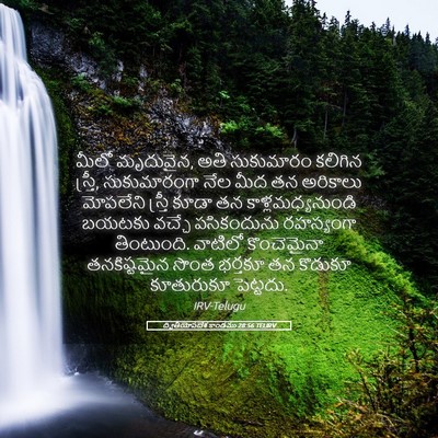 Picture 05 - ద్వితీయోపదేశ కాండము 28:56 TELIRV - మీలో మృదువైన, అతి - Bible Verse Picture