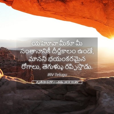 Picture 05 - ద్వితీయోపదేశ కాండము 28:59 TELIRV - యెహోవా మీకూ మీ - Bible Verse Picture
