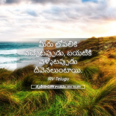 Picture 05 - ద్వితీయోపదేశ కాండము 28:6 TELIRV - మీరు లోపలికి - Bible Verse Picture