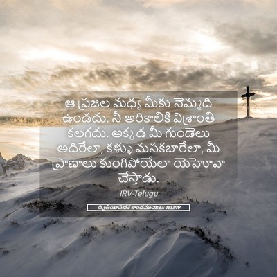 Picture 05 - ద్వితీయోపదేశ కాండము 28:65 TELIRV - ఆ ప్రజల మధ్య మీకు - Bible Verse Picture