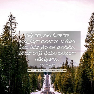 Picture 05 - ద్వితీయోపదేశ కాండము 28:66 TELIRV - చస్తామో, - Bible Verse Picture