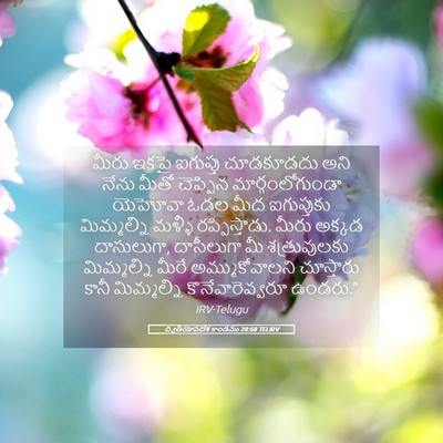 Picture 05 - ద్వితీయోపదేశ కాండము 28:68 TELIRV - మీరు ఇకపై ఐగుప్తు - Bible Verse Picture