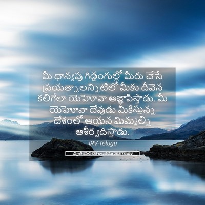 Picture 05 - ద్వితీయోపదేశ కాండము 28:8 TELIRV - మీ ధాన్యపు - Bible Verse Picture