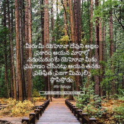 Picture 05 - ద్వితీయోపదేశ కాండము 28:9 TELIRV - మీరు మీ యెహోవా - Bible Verse Picture