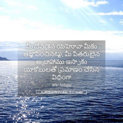 Picture 05 - ద్వితీయోపదేశ కాండము 29:12 TELIRV - మీ దేవుడైన యెహోవా - Bible Verse Picture