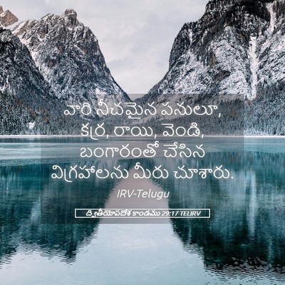 Picture 05 - ద్వితీయోపదేశ కాండము 29:17 TELIRV - వారి నీచమైన పనులూ, - Bible Verse Picture