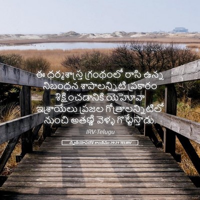 Picture 05 - ద్వితీయోపదేశ కాండము 29:21 TELIRV - ఈ ధర్మశాస్త్ర - Bible Verse Picture