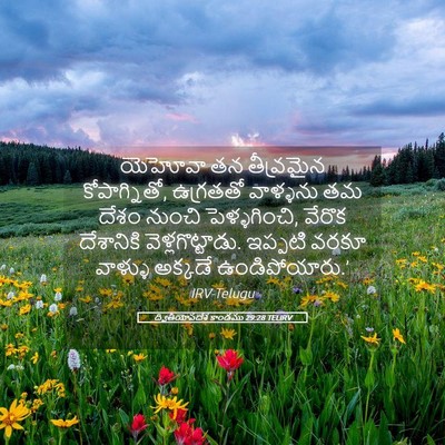 Picture 05 - ద్వితీయోపదేశ కాండము 29:28 TELIRV - యెహోవా తన - Bible Verse Picture