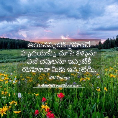 Picture 05 - ద్వితీయోపదేశ కాండము 29:4 TELIRV - అయినప్పటికీ - Bible Verse Picture
