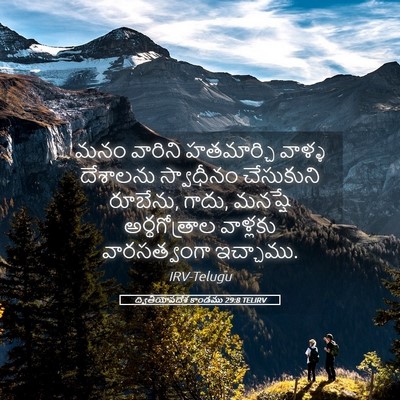 Picture 05 - ద్వితీయోపదేశ కాండము 29:8 TELIRV - మనం వారిని - Bible Verse Picture