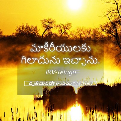 Picture 05 - ద్వితీయోపదేశ కాండము 3:15 TELIRV - మాకీరీయులకు - Bible Verse Picture