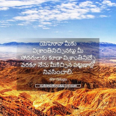 Picture 05 - ద్వితీయోపదేశ కాండము 3:19 TELIRV - యెహోవా మీకు - Bible Verse Picture