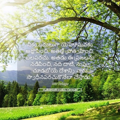 Picture 05 - ద్వితీయోపదేశ కాండము 3:28 TELIRV - నీకు బదులుగా - Bible Verse Picture