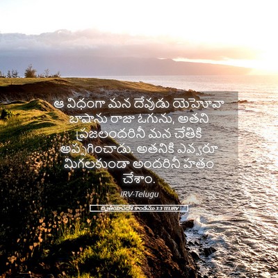 Picture 05 - ద్వితీయోపదేశ కాండము 3:3 TELIRV - ఆ విధంగా మన దేవుడు - Bible Verse Picture