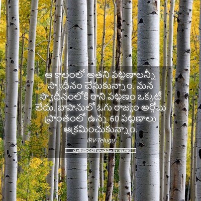 Picture 05 - ద్వితీయోపదేశ కాండము 3:4 TELIRV - ఆ కాలంలో అతని - Bible Verse Picture