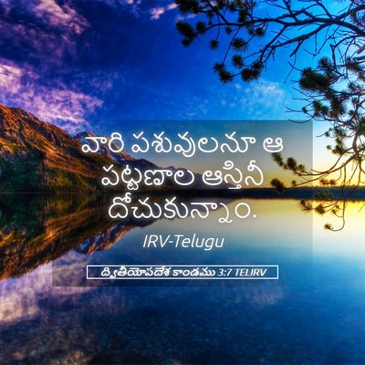 Picture 05 - ద్వితీయోపదేశ కాండము 3:7 TELIRV - వారి పశువులనూ ఆ - Bible Verse Picture