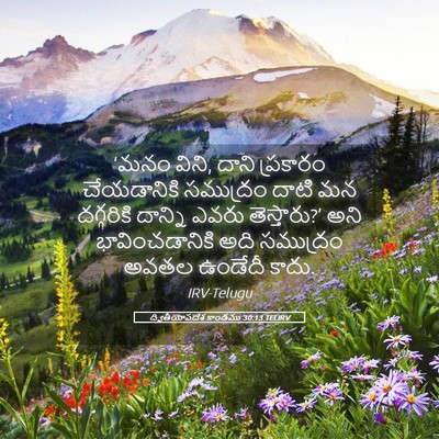 Picture 05 - ద్వితీయోపదేశ కాండము 30:13 TELIRV - ‘మనం విని, దాని - Bible Verse Picture
