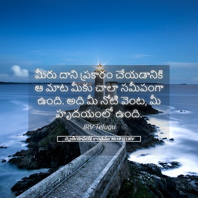 Picture 05 - ద్వితీయోపదేశ కాండము 30:14 TELIRV - మీరు దాని ప్రకారం - Bible Verse Picture