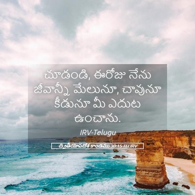 Picture 05 - ద్వితీయోపదేశ కాండము 30:15 TELIRV - చూడండి, ఈరోజు నేను - Bible Verse Picture