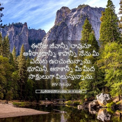 Picture 05 - ద్వితీయోపదేశ కాండము 30:19 TELIRV - ఈరోజు జీవాన్నీ - Bible Verse Picture