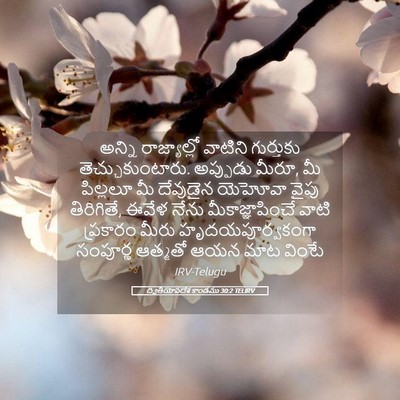 Picture 05 - ద్వితీయోపదేశ కాండము 30:2 TELIRV - అన్ని రాజ్యాల్లో - Bible Verse Picture