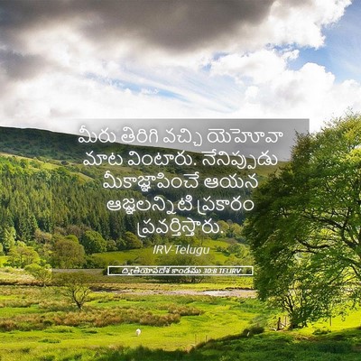 Picture 05 - ద్వితీయోపదేశ కాండము 30:8 TELIRV - మీరు తిరిగి వచ్చి - Bible Verse Picture