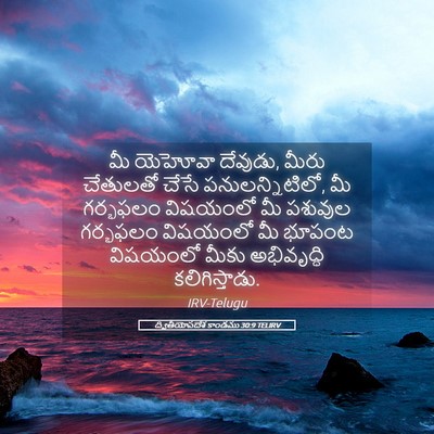 Picture 05 - ద్వితీయోపదేశ కాండము 30:9 TELIRV - మీ యెహోవా దేవుడు, - Bible Verse Picture
